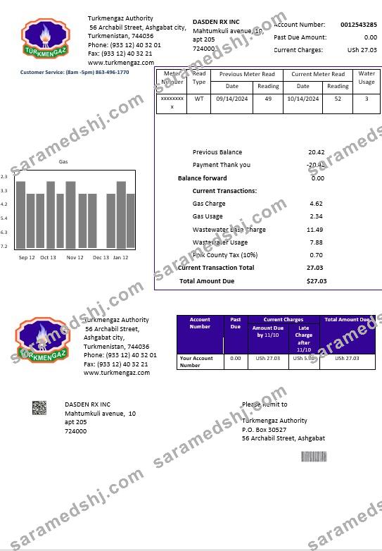 Turkmenistan Turkmengaz business utility bill template in Word and PDF formats